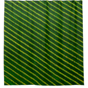 Top view of rows blackcurrant bushes, cultivated l shower curtain