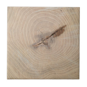 Top view of the annual rings of cut tree closeup ceramic tile