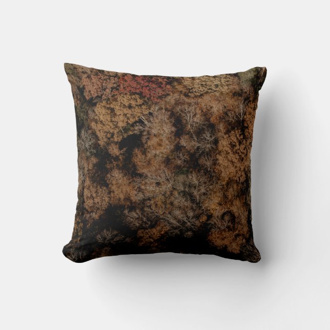 Top-view photography of tree cushion (Front)