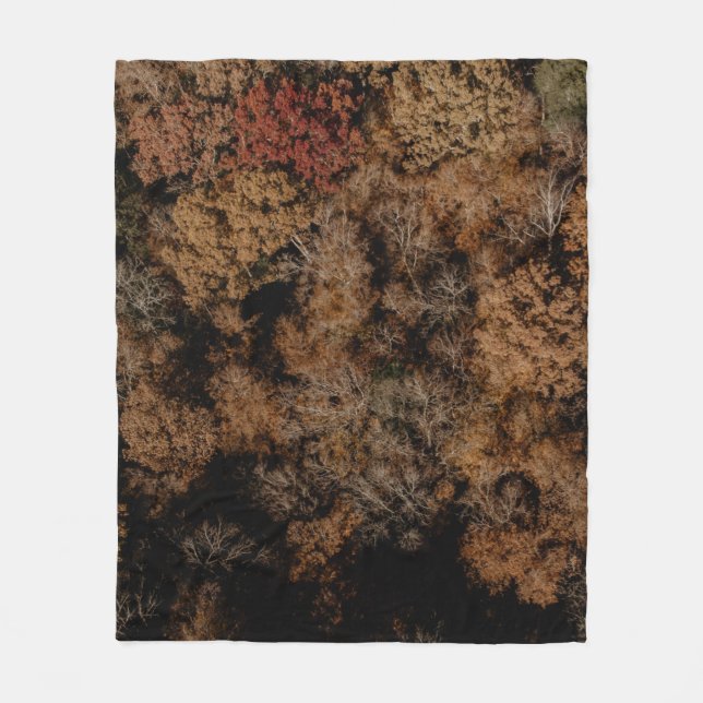 Top-view photography of tree fleece blanket (Front)