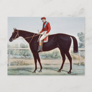 TOP Winner's Circle Postcard