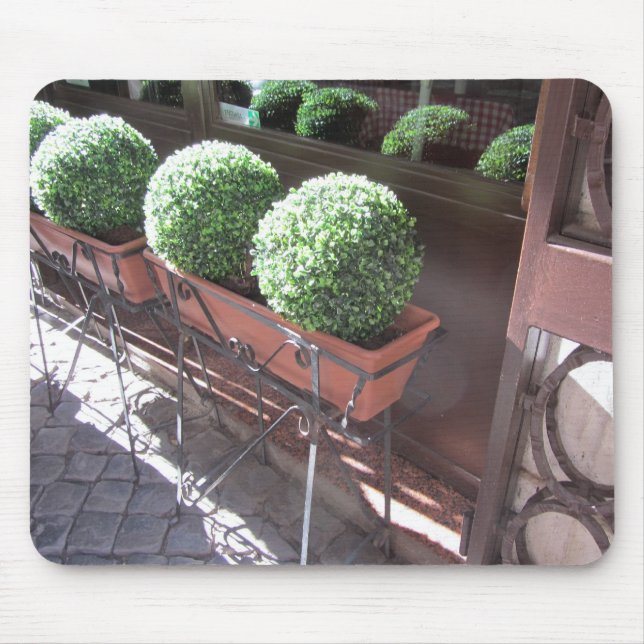 Topiary Balls Mouse Pad (Front)