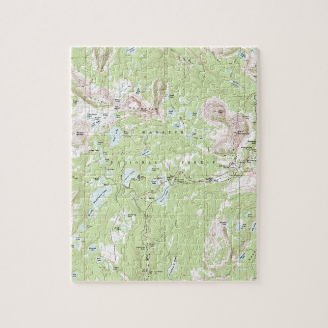 Topographic Map Jigsaw Puzzle (Vertical)
