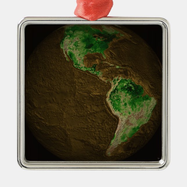 Topographic Map of Earth Metal Tree Decoration (Front)
