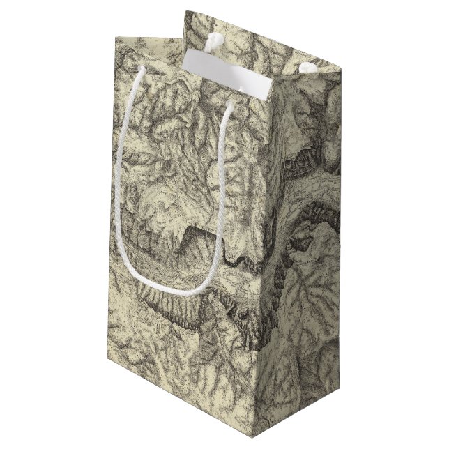 Topographical Map of The Yosemite Valley Small Gift Bag (Back Angled)