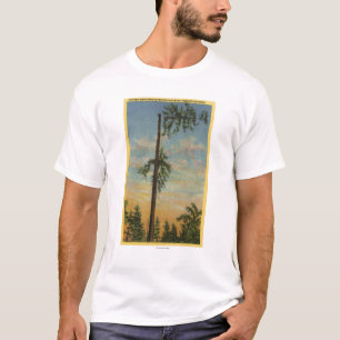 Topping Giant Spruce for 200 ft. Sailing T-Shirt
