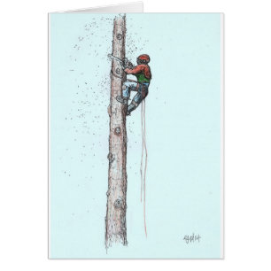 Topping out Arborist Tree Surgeon