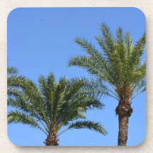 Tops of Palm Trees against the Blue Sky 