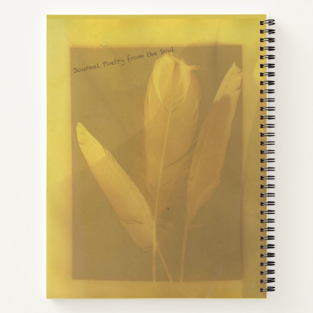 Torah Study Reflections   Notebook (Back)