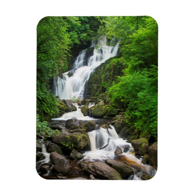 Torc waterfall scenic, Ireland Magnet (Vertical)
