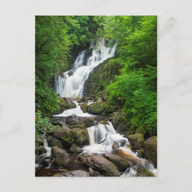 Torc waterfall scenic, Ireland Postcard (Front)