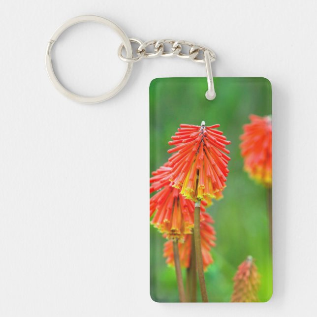 Torch Lily (Kniphofia Uvaria), Western Cape Key Ring (Front)