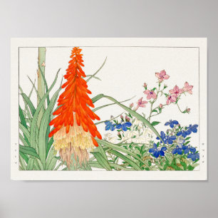 Torch lily, Lobelia by Tanigami Konan Poster