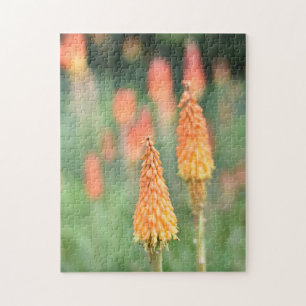 Torch Lily Red Hot Poker Flower Nature Photography Jigsaw Puzzle