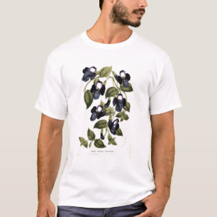 Torenia Asiatica pulcherrima T-Shirt