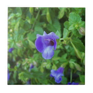 Torenia Ceramic Tile