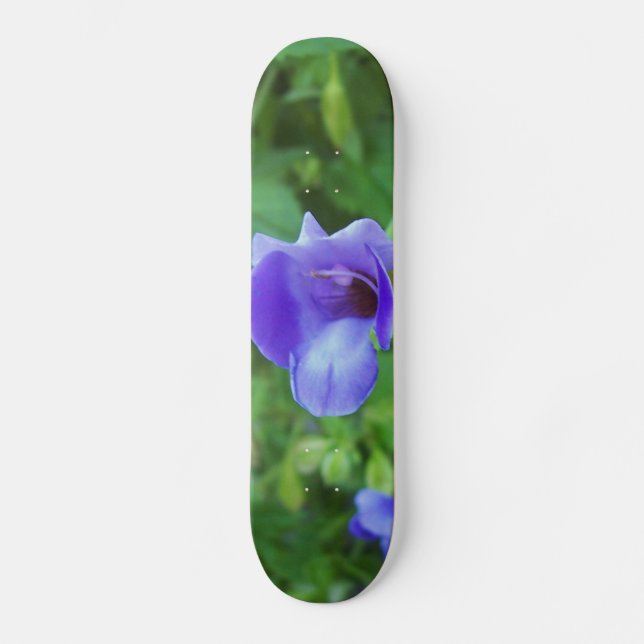 Torenia Skateboard (Front)