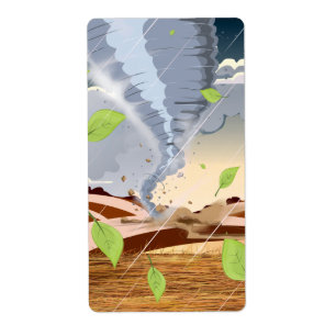 Tornado Twister