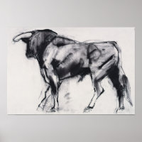 Toro Azul study