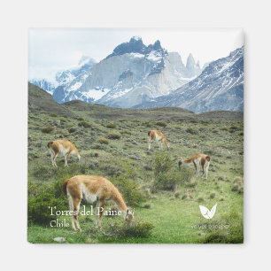 Torres del Paine - fridge magnet by Velvet Escape