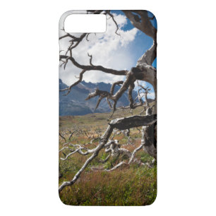 Torres del Paine National Park, fire damaged trees iPhone 8 Plus/7 Plus Case