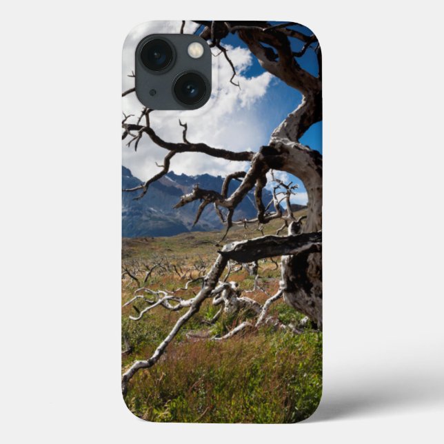 Torres del Paine National Park, fire damaged trees Case-Mate iPhone Case (Back)