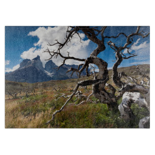 Torres del Paine National Park, fire damaged trees Cutting Board
