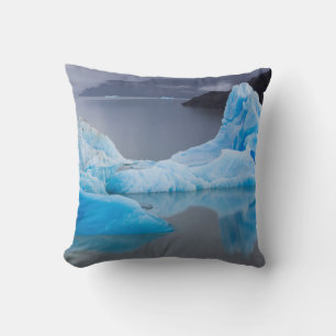 Torres del Paine National Park, Glacial ice Cushion