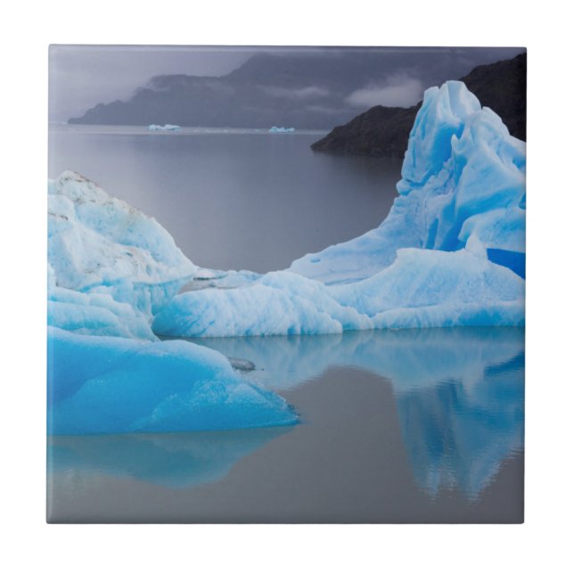 Torres del Paine National Park, Glacial ice Tile (Front)
