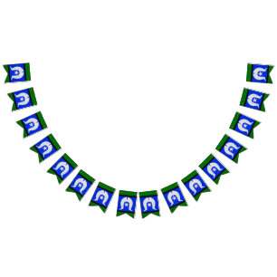 Torres Strait Islands Bunting