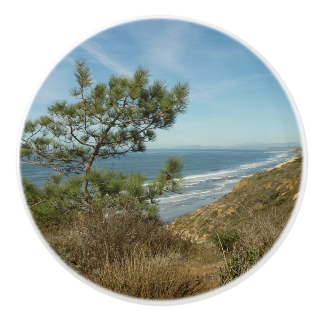 Torrey Pine and California Coastline Landscape Ceramic Knob (Front)