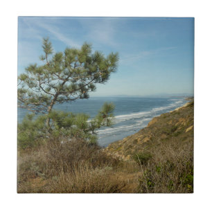 Torrey Pine and California Coastline Landscape Ceramic Tile