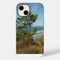 Torrey Pine and California Coastline Landscape