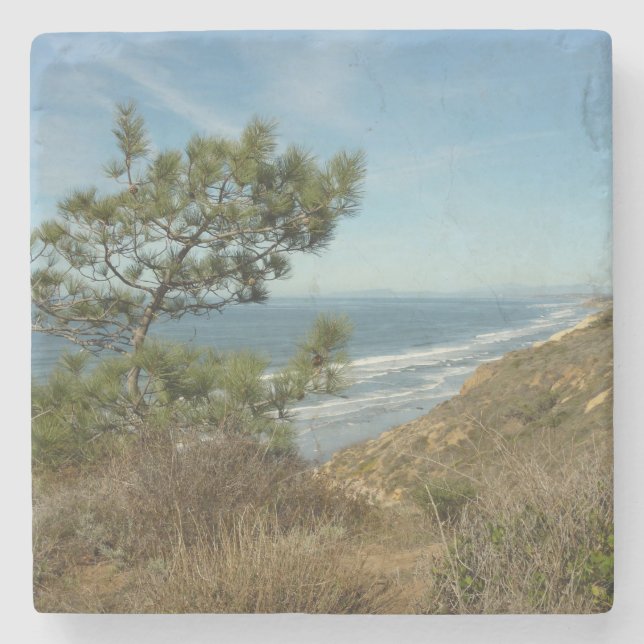Torrey Pine and California Coastline Landscape Stone Coaster (Front)