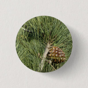 Torrey Pine Closeup California Botanical 3 Cm Round Badge