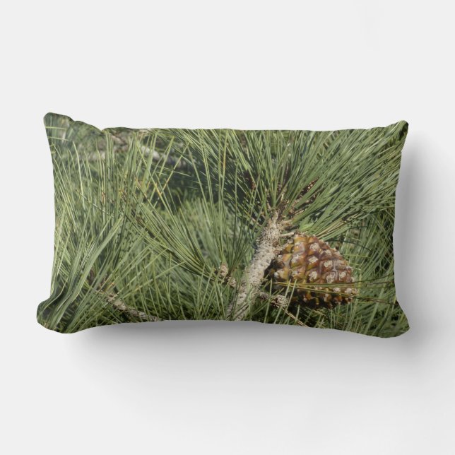 Torrey Pine Closeup California Botanical Lumbar Cushion (Front)