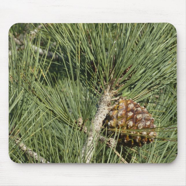 Torrey Pine Closeup California Botanical Mouse Pad (Front)