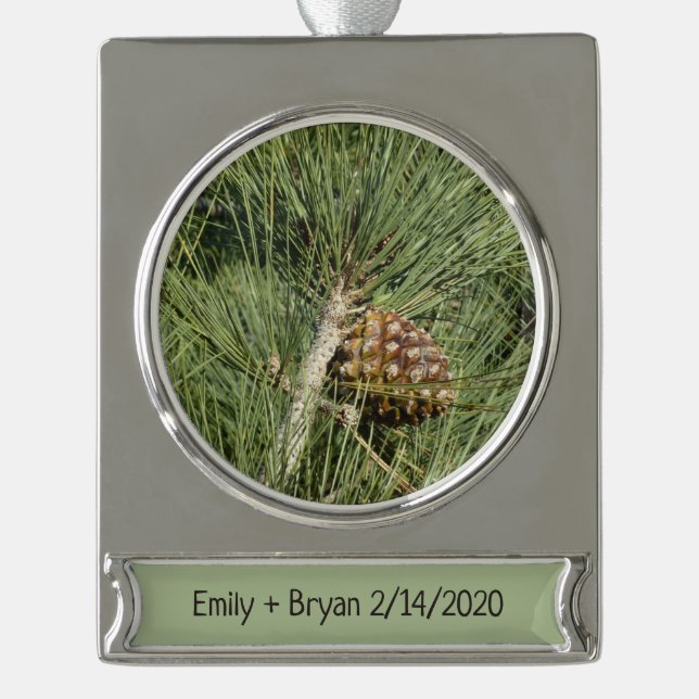 Torrey Pine Closeup California Botanical Silver Plated Banner Ornament (Front)