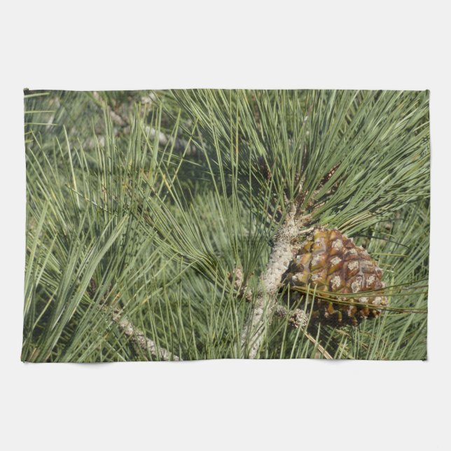 Torrey Pine Closeup California Botanical Tea Towel (Horizontal)