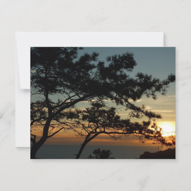 Torrey Pine Sunset I California Landscape (Front)