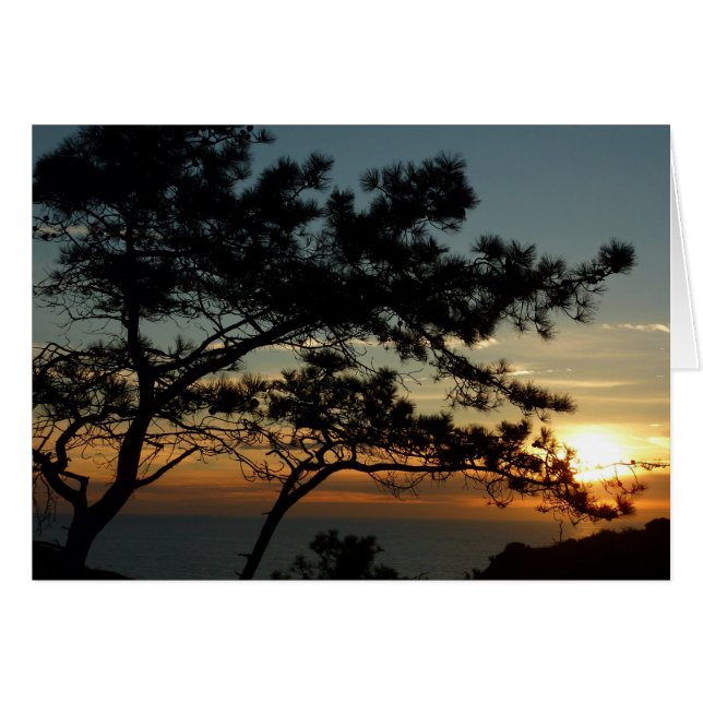 Torrey Pine Sunset I California Landscape (Front Horizontal)