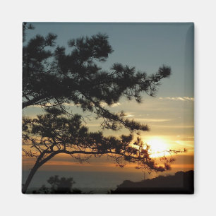 Torrey Pine Sunset I California Landscape Magnet