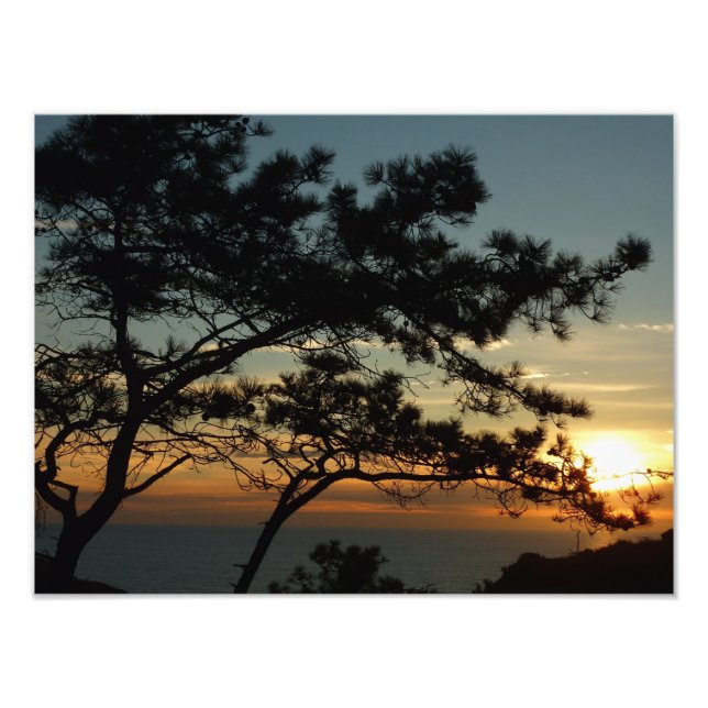Torrey Pine Sunset I California Landscape Photo Print (Front)