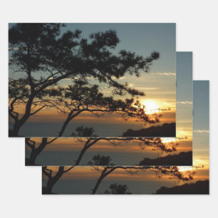 Torrey Pine Sunset I California Landscape Wrapping Paper Sheet
