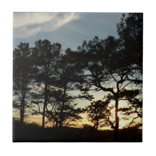 Torrey Pine Sunset II California Landscape Ceramic Tile