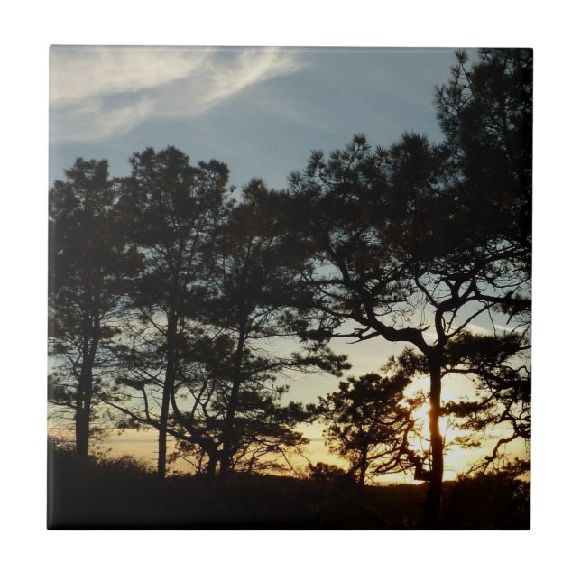 Torrey Pine Sunset II California Landscape Ceramic Tile (Front)