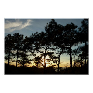 Torrey Pine Sunset II California Landscape Poster