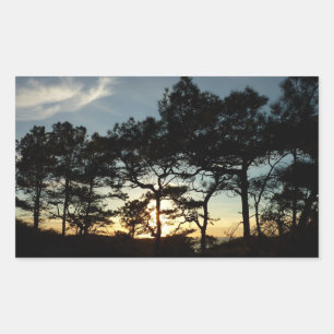 Torrey Pine Sunset II California Landscape Rectangular Sticker