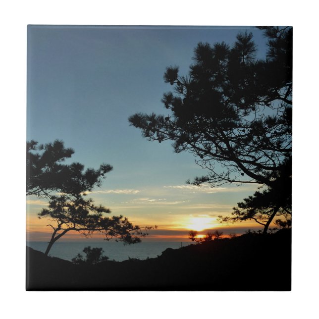 Torrey Pine Sunset III California Landscape Tile (Front)