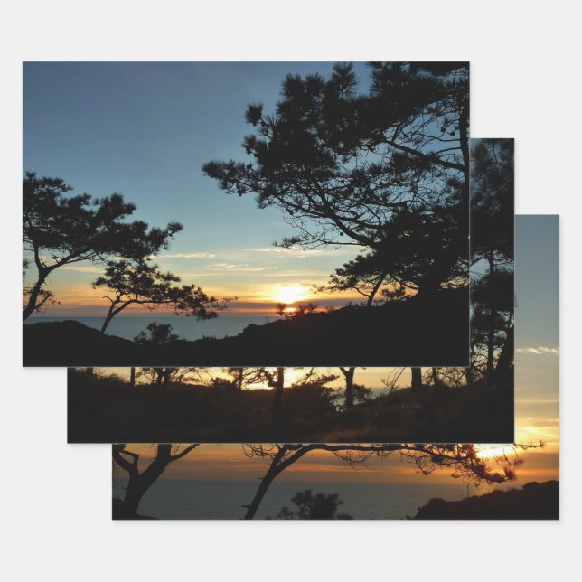 Torrey Pine Sunset III California Landscape Wrapping Paper Sheet (Set)